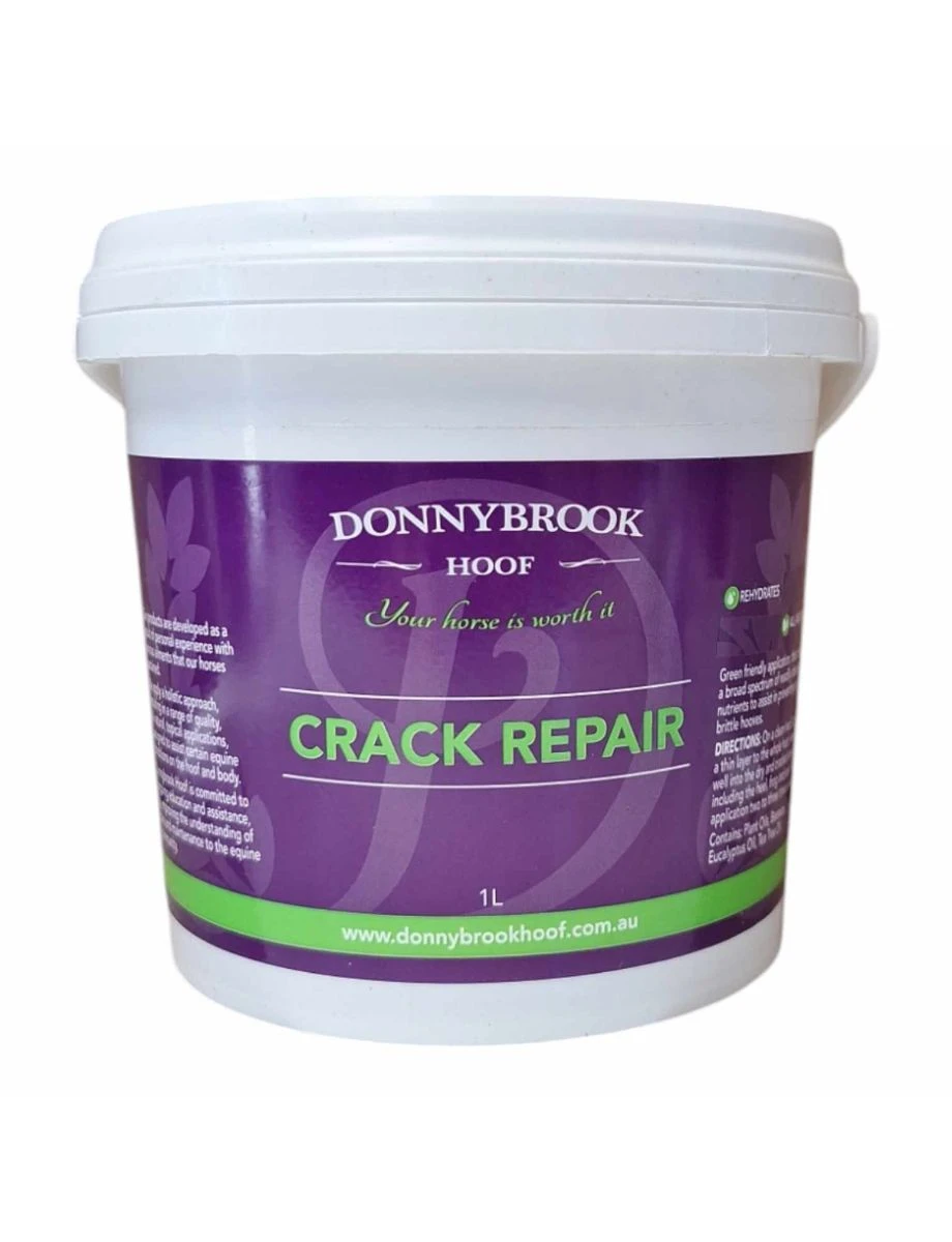 DONNYBROOK Crack Repair - 1L