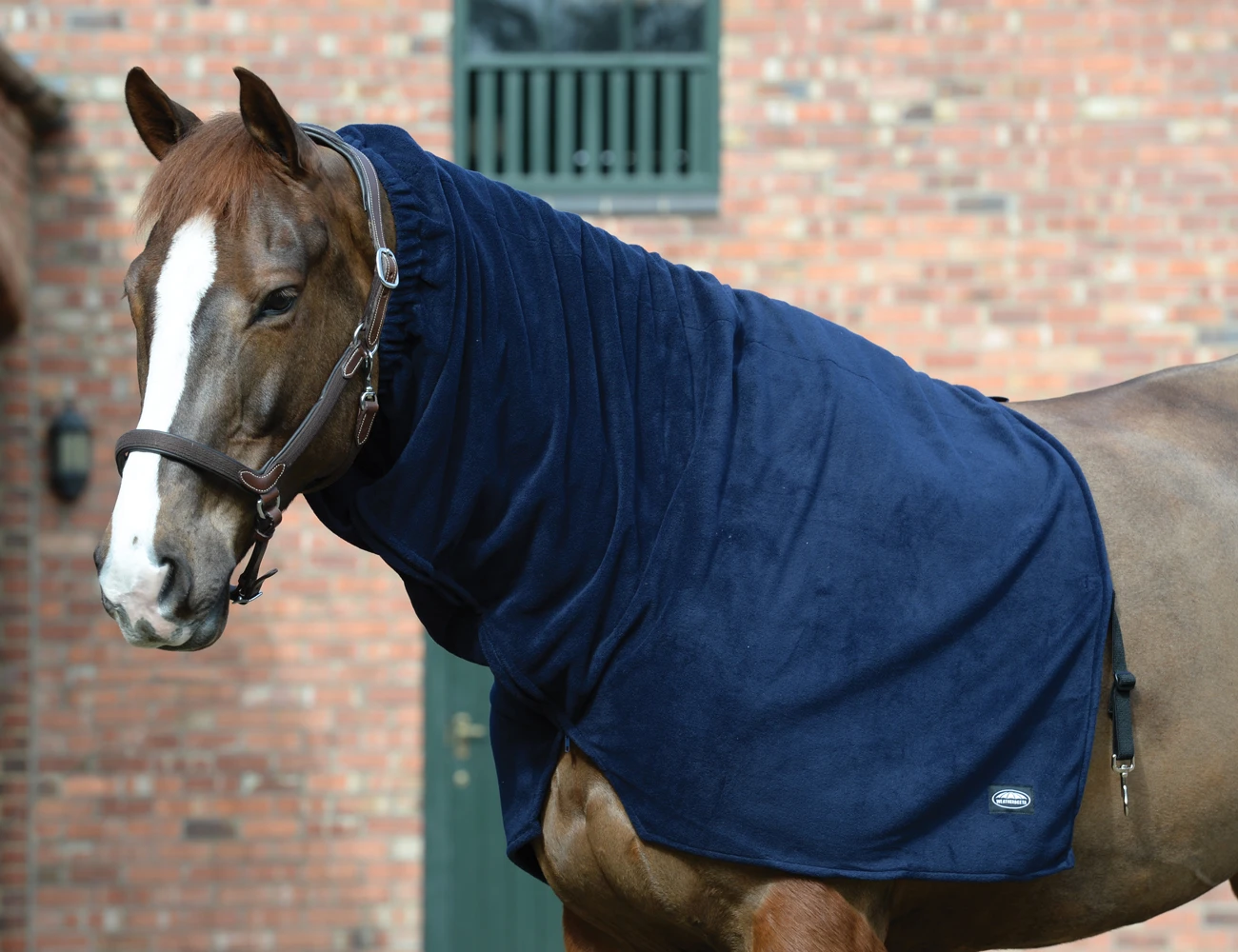 WEATHERBEETA Cosy Deluxe Fleece Neck Rug