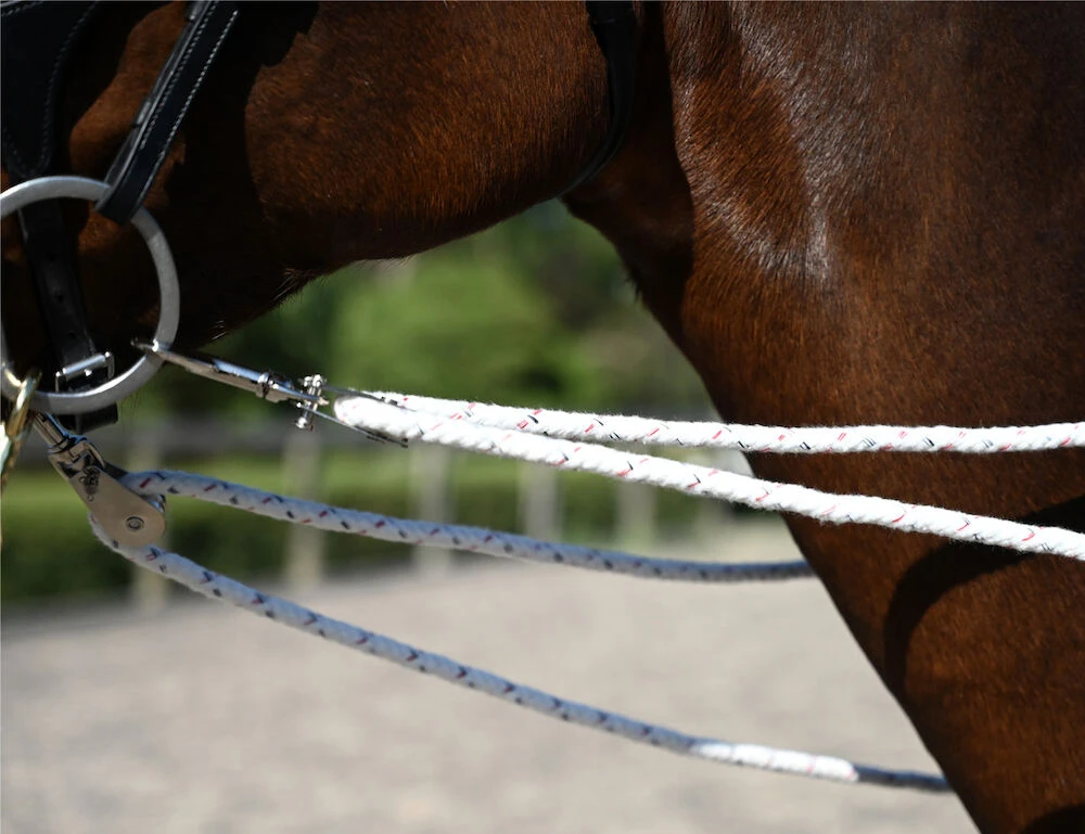 KINCADE Lunging Training System
