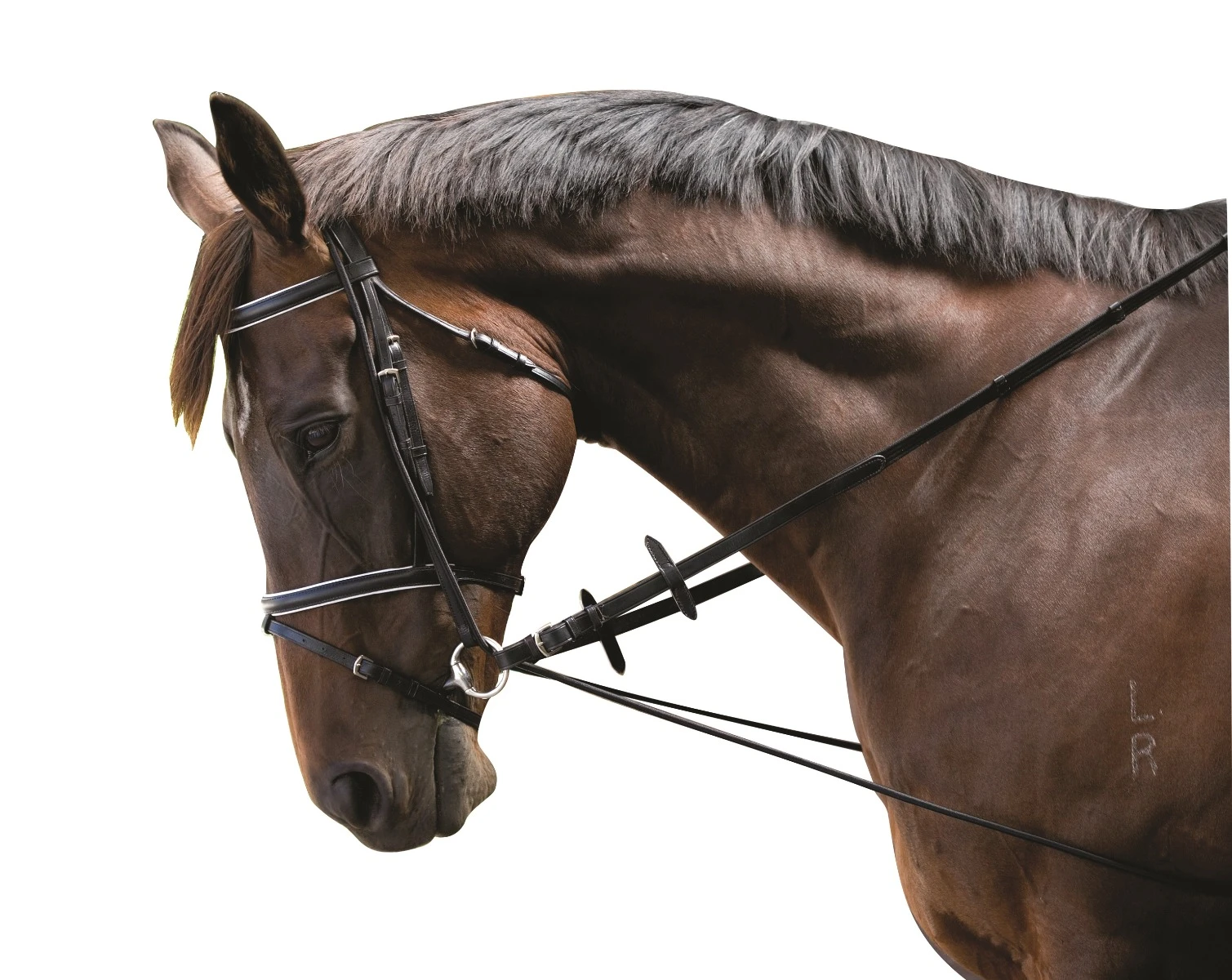 KINCADE Elastic Chambon Training Strap