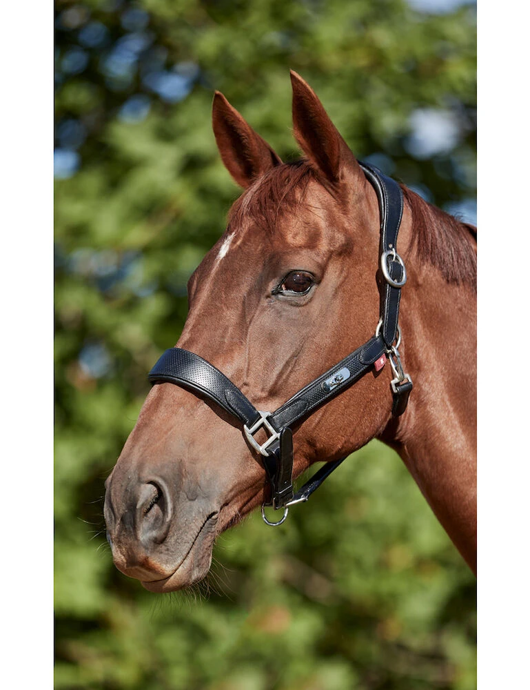 KINCADE Anatomical Headcollar