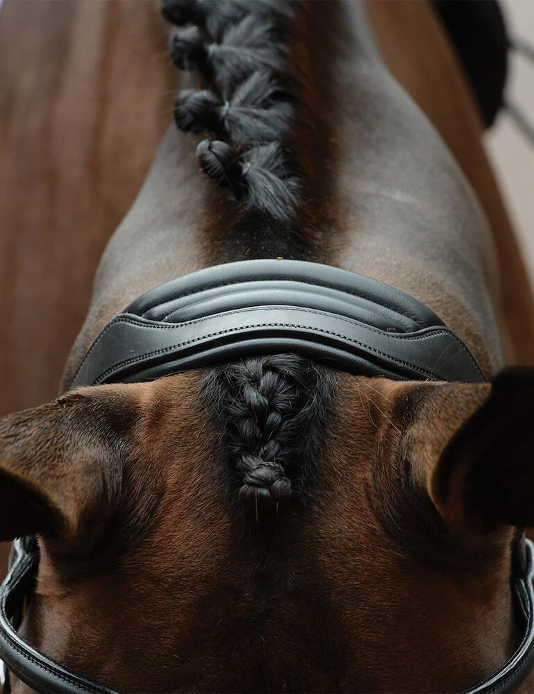 COLLEGIATE ComFiTec Vogue Anatomical Bridle