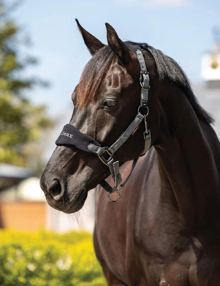 LEMIEUX Lemieux Vogue Fleece Headcollar And Lead Rope