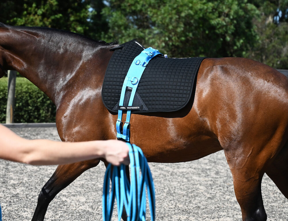 KINCADE Brights Deluxe Equigrip Lunge Roller