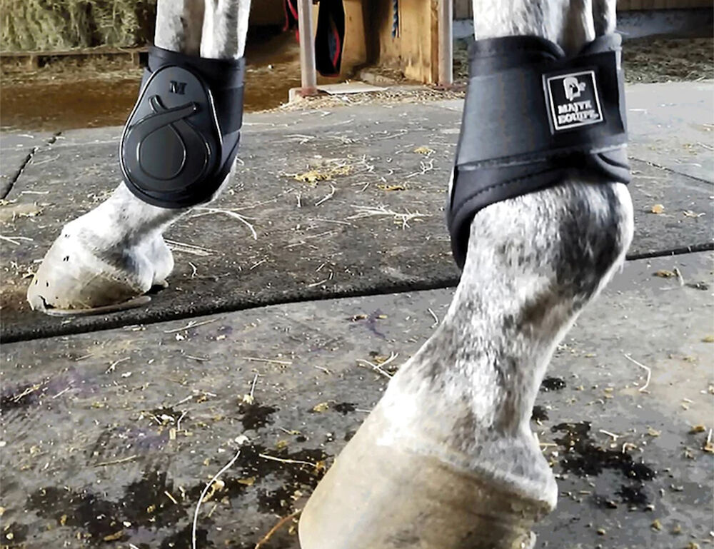 MAJYK EQUIPE Vented Infinity Fetlock Boot