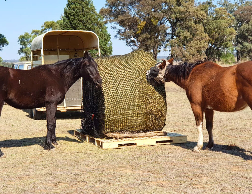 GUTZBUSTA Deluxe 5MM Knotless Slow Feed Round Bale Hay Net