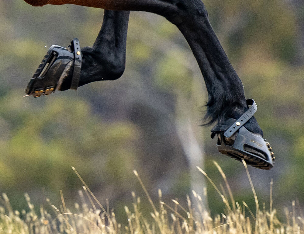 SCOOT BOOTS Scoot Boot Hoof Boots Pair