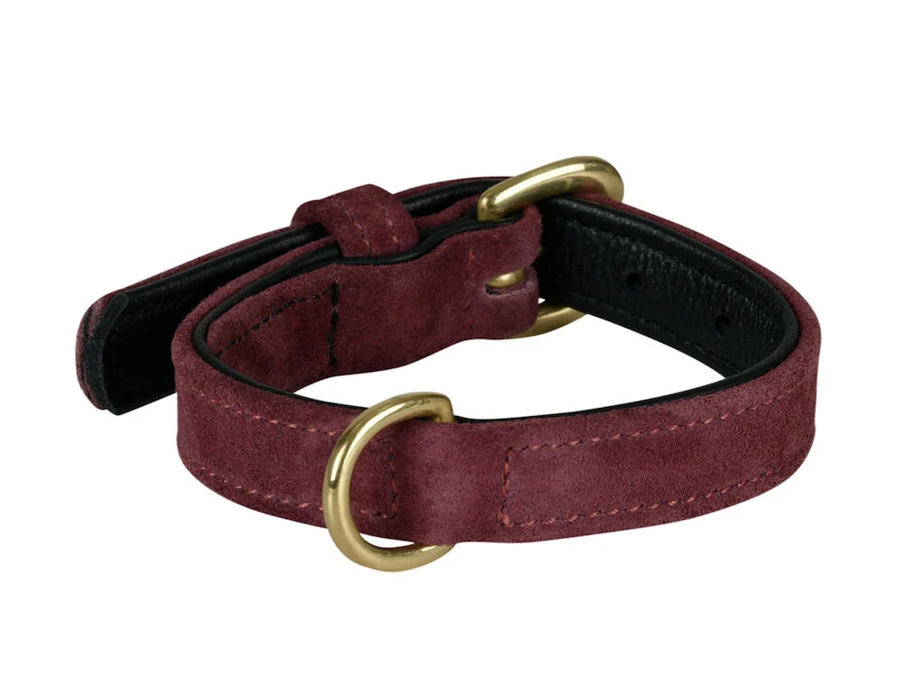 WEATHERBEETA Suede Dog Collar