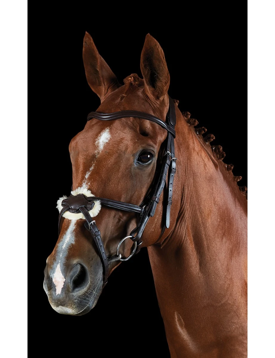 COLLEGIATE ComFiTec Grackle Bridle