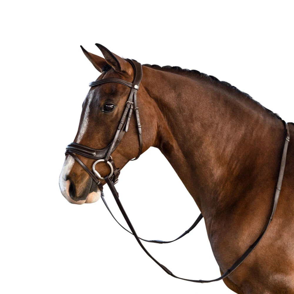 LARA TWEEDIE Connection Bridle