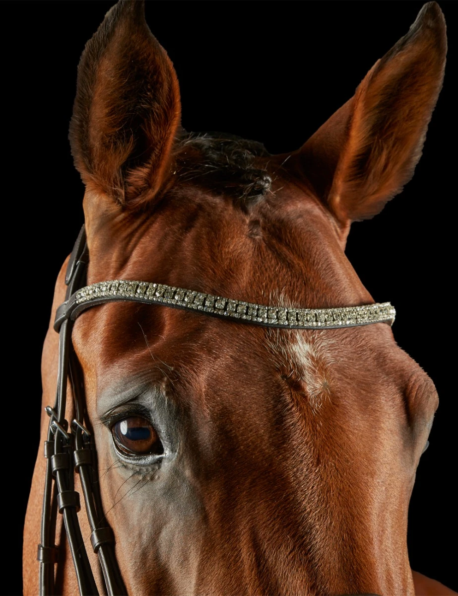COLLEGIATE ComFiTec Luna Bridle