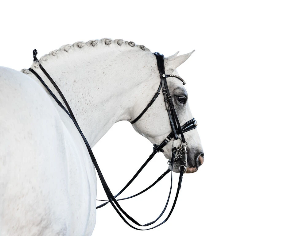 LARA TWEEDIE Glam Double Bridle