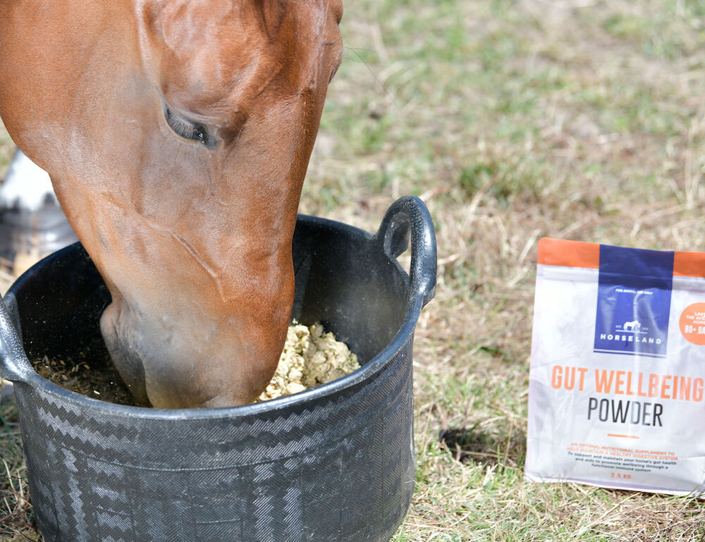 HORSELAND Gut Wellbeing Powder - 2.5KG