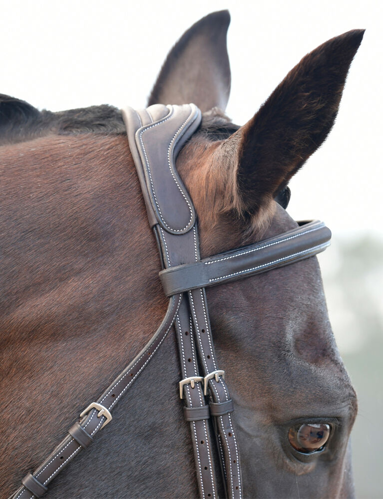 COLLEGIATE ComFiTec Opulux Fancy Stitch Padded Hanoverian Bridle