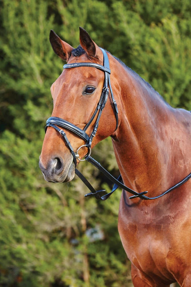 KINCADE 11 Crystal Flash Bridle