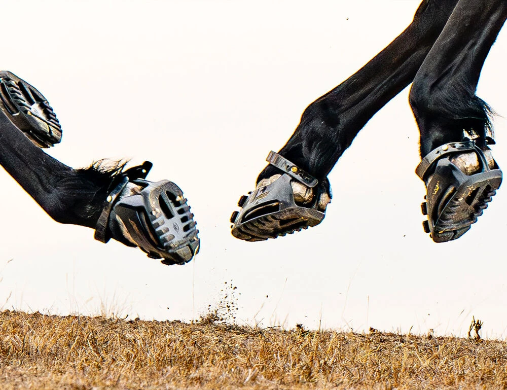 SCOOT BOOTS Scoot Boot Hoof Boots Pair