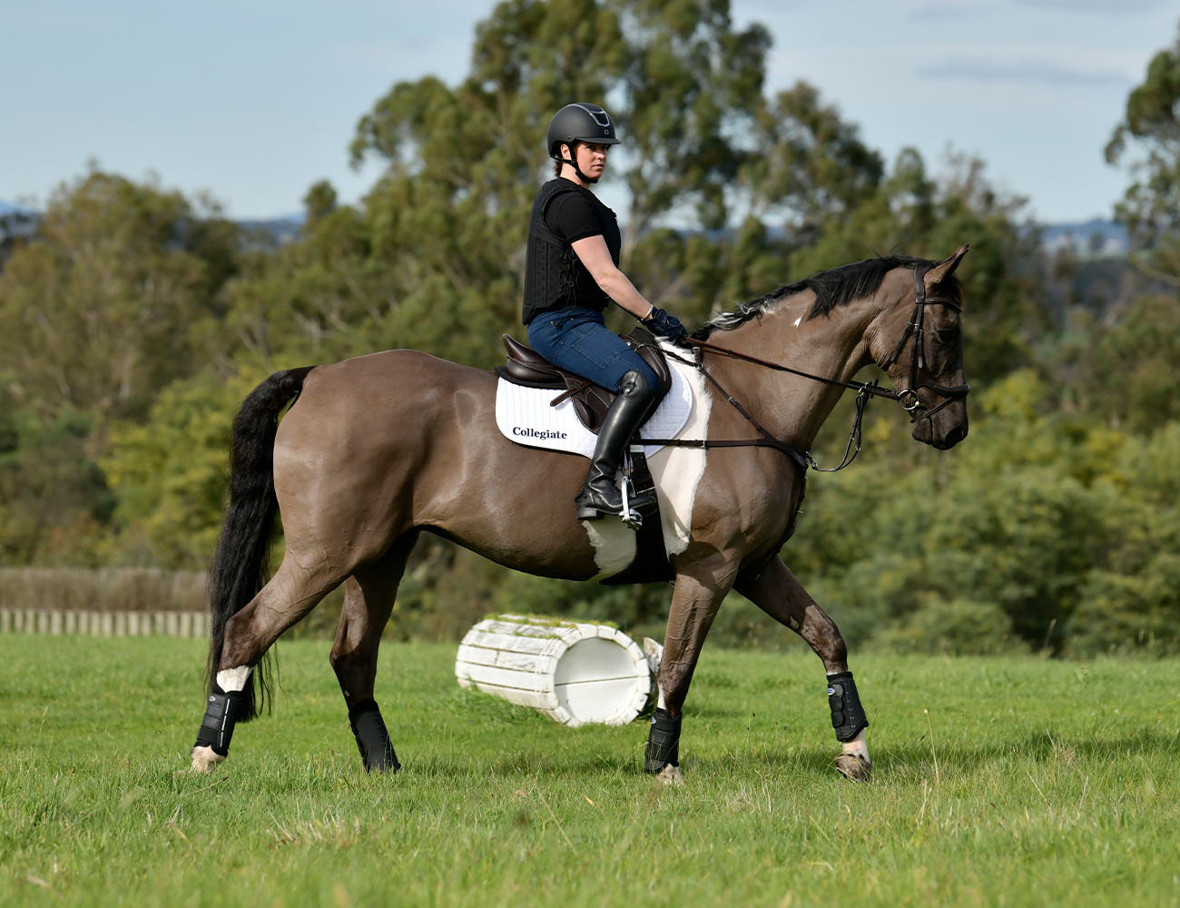 COLLEGIATE Distinction Mono Event Saddle