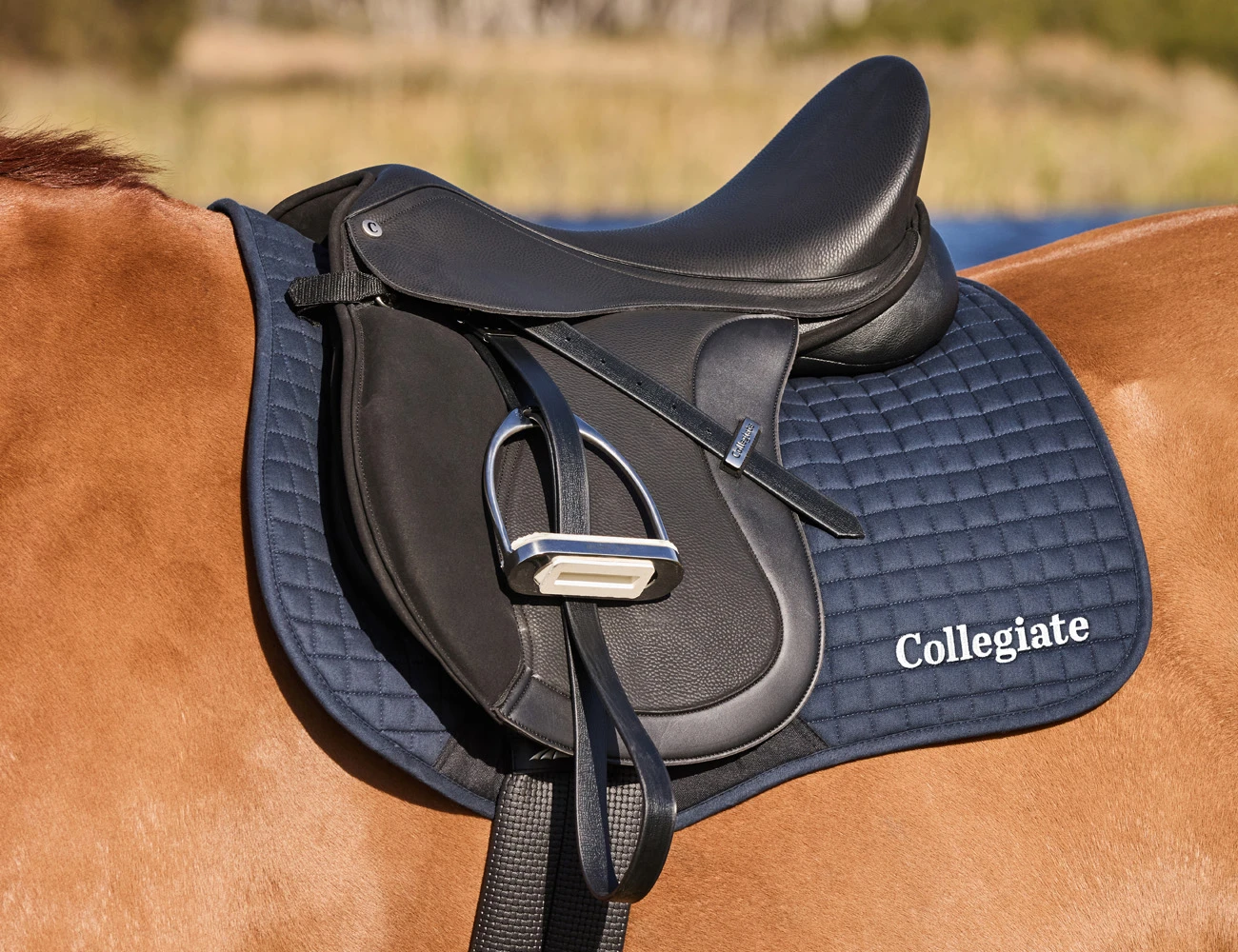 COLLEGIATE Syntovia+ Osberton All Purpose Saddle