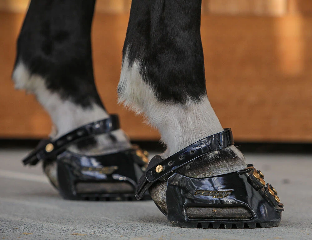 SCOOT BOOTS Scoot Boot Trail Gaiter