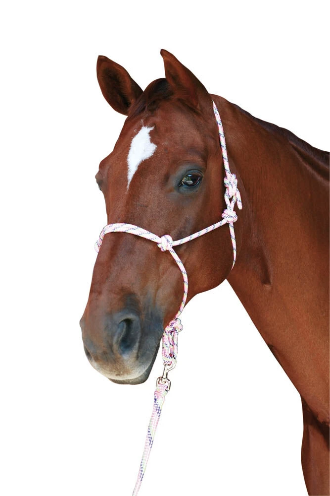 ROMA Rainbow Rope Headcollar & Lead Set