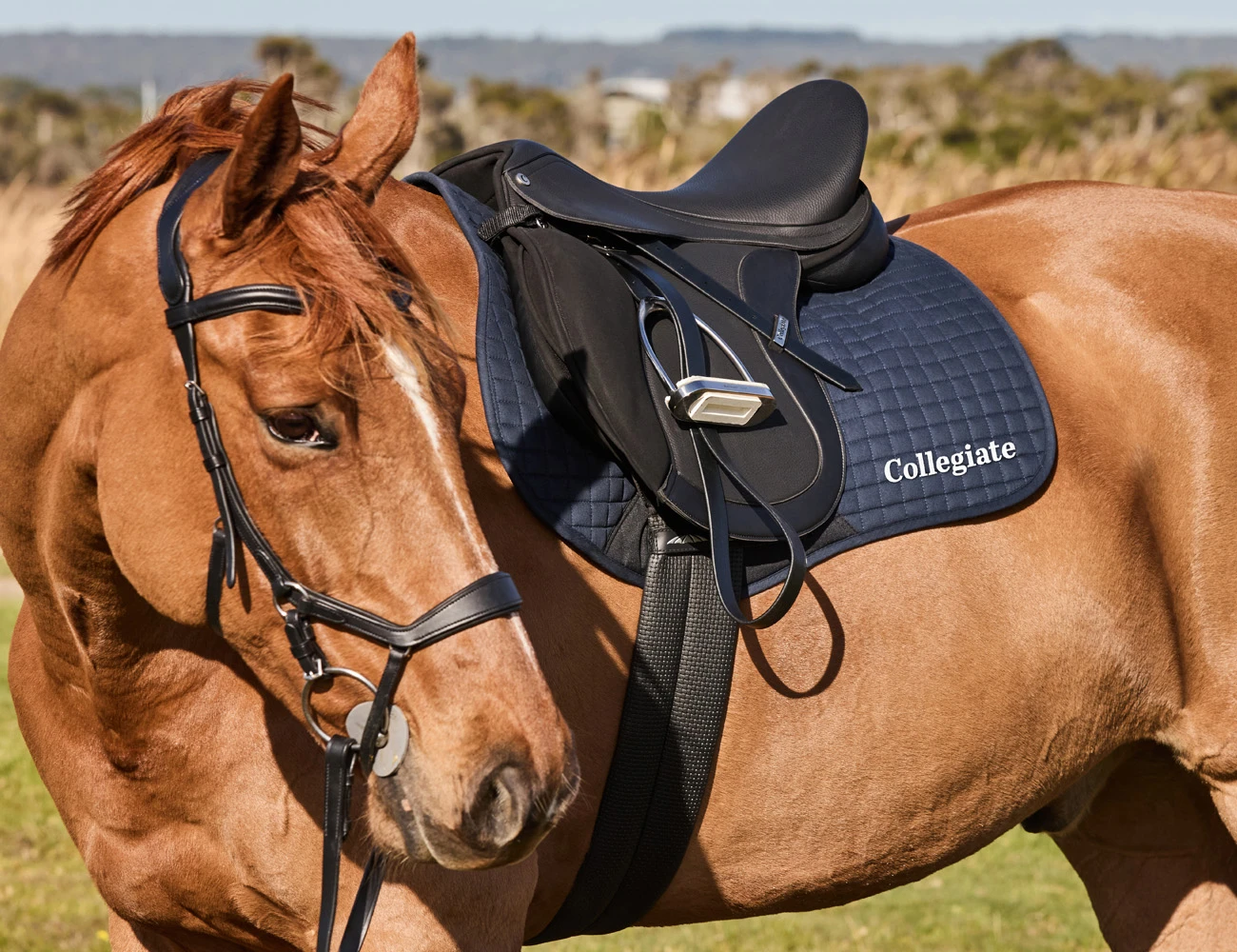 COLLEGIATE Syntovia+ Osberton All Purpose Saddle
