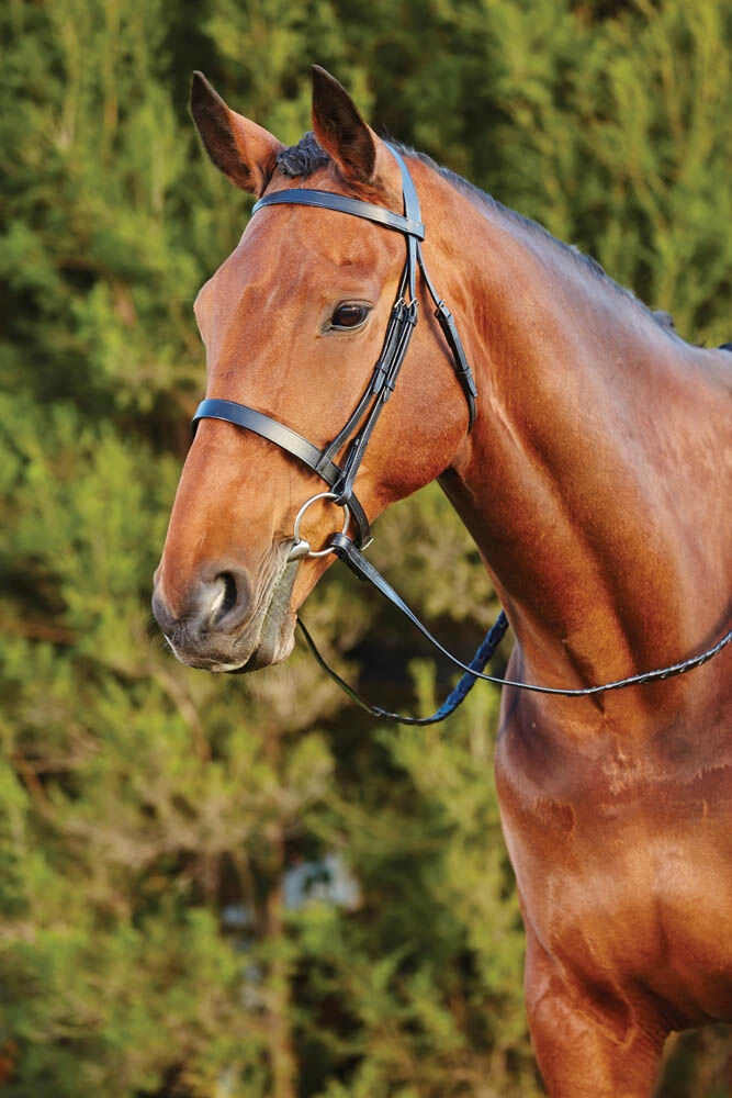 KINCADE Flat Cavesson II Bridle
