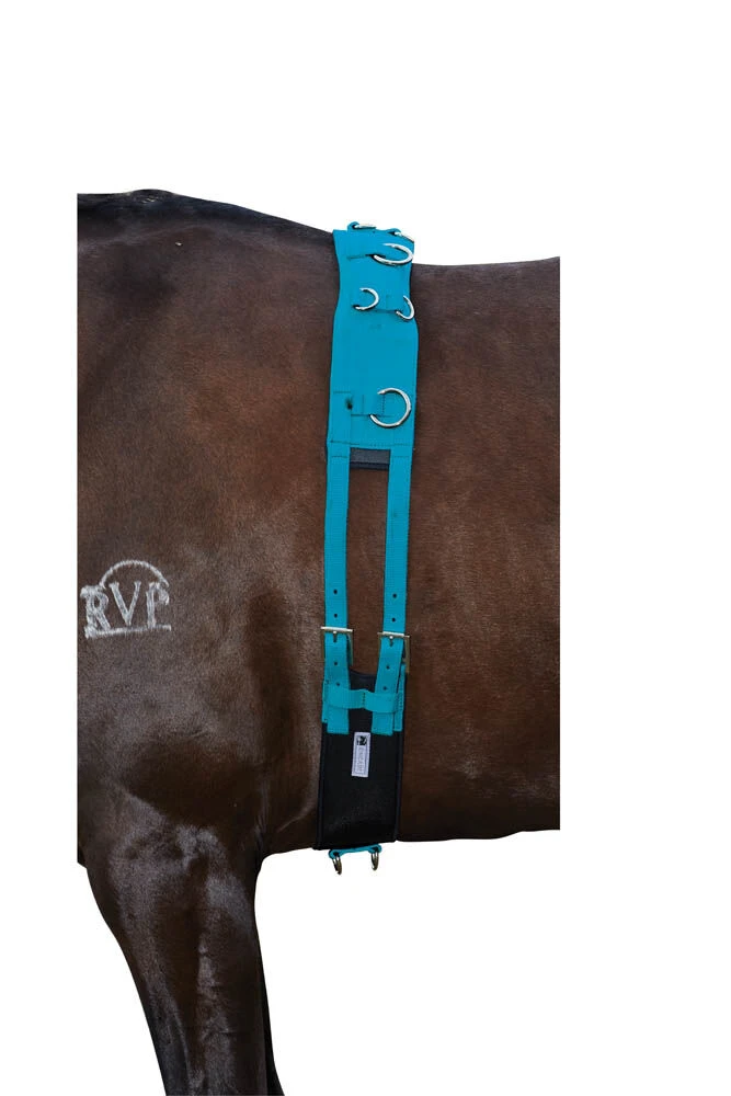KINCADE Brights Deluxe Equigrip Lunge Roller