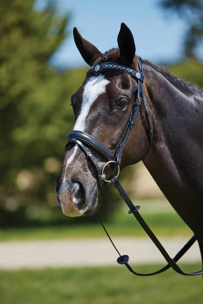 KINCADE Chain Flash Bridle