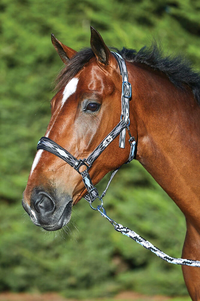 SAXON Padded Pattern Headcollar And Lead Set