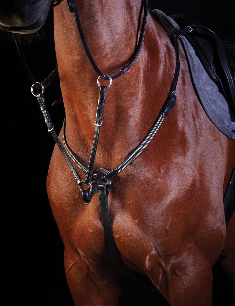 COLLEGIATE Elastic Event Breastplate