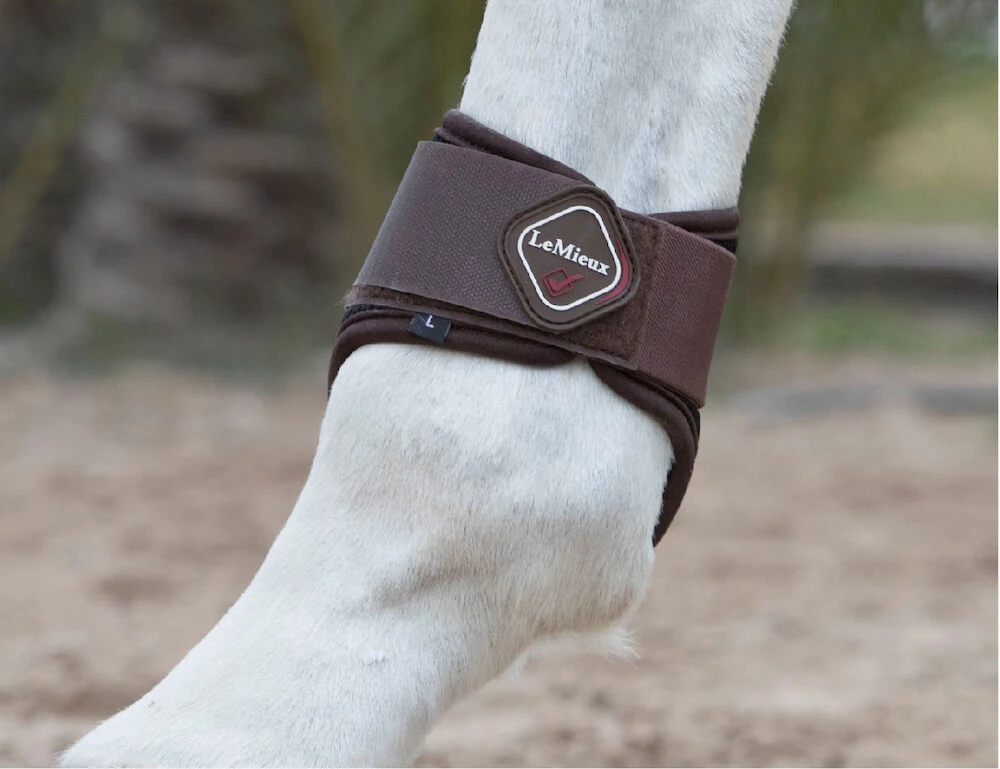 LEMIEUX Lemieux Derby Projump Fetlock Boot