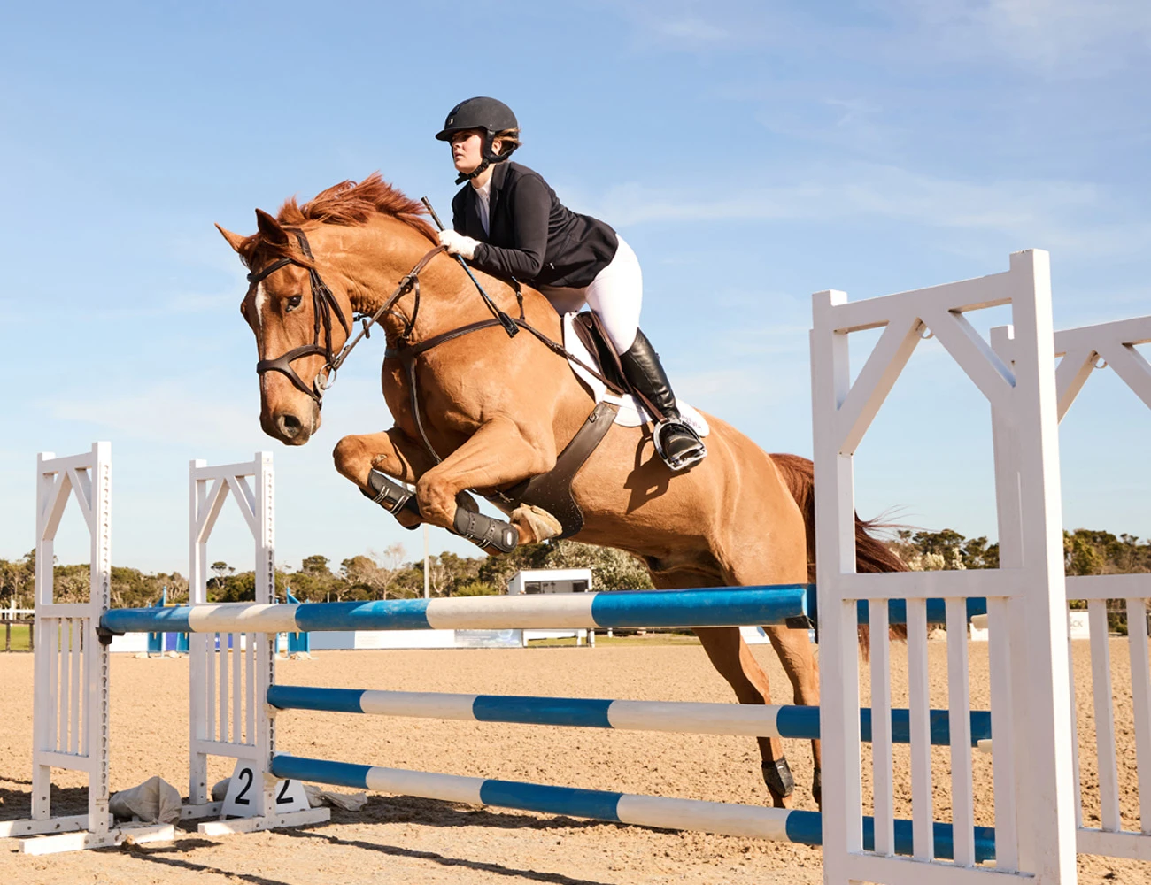 COLLEGIATE Astute Close Contact Saddle