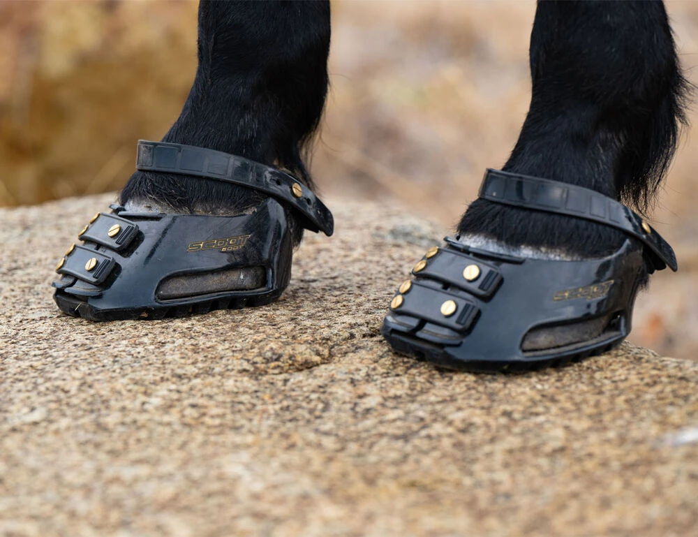 SCOOT BOOTS Scoot Boot Hoof Boots Pair