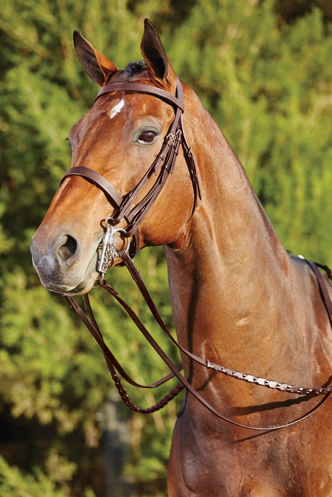 KINCADE Flat Show Weymouth II Bridle