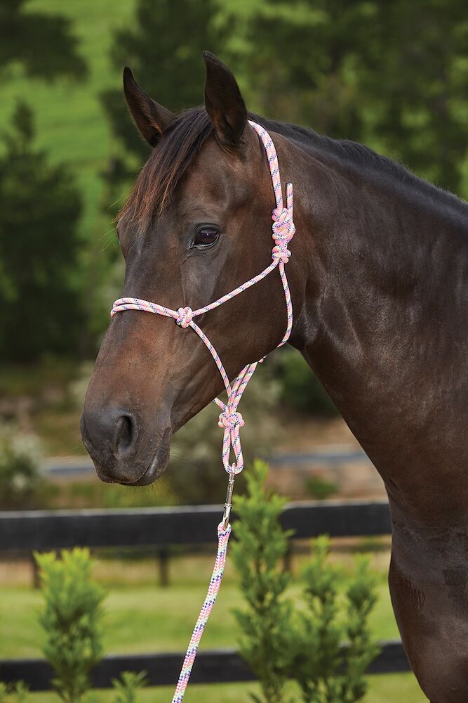 ROMA Rainbow Rope Headcollar & Lead Set