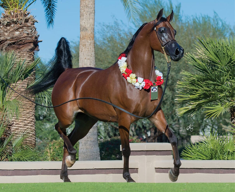 BREYER Rd Marciea Bay