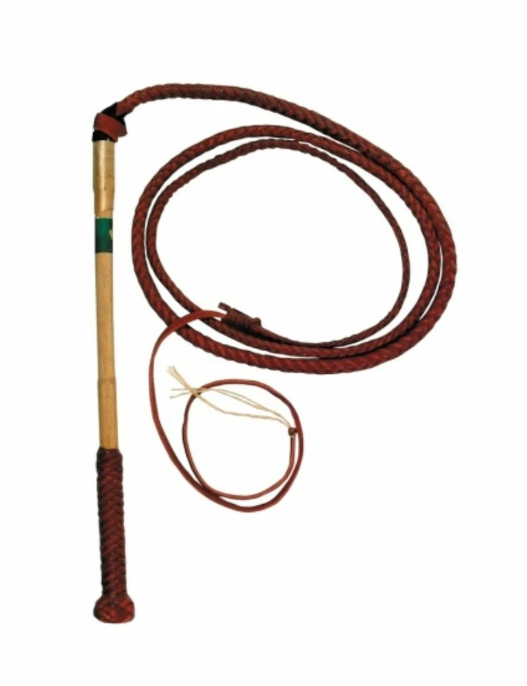 UNBRANDED 6 Plaithide Stockwhip