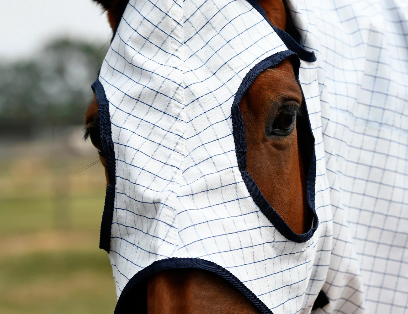 KOOL COAT Classic Hood