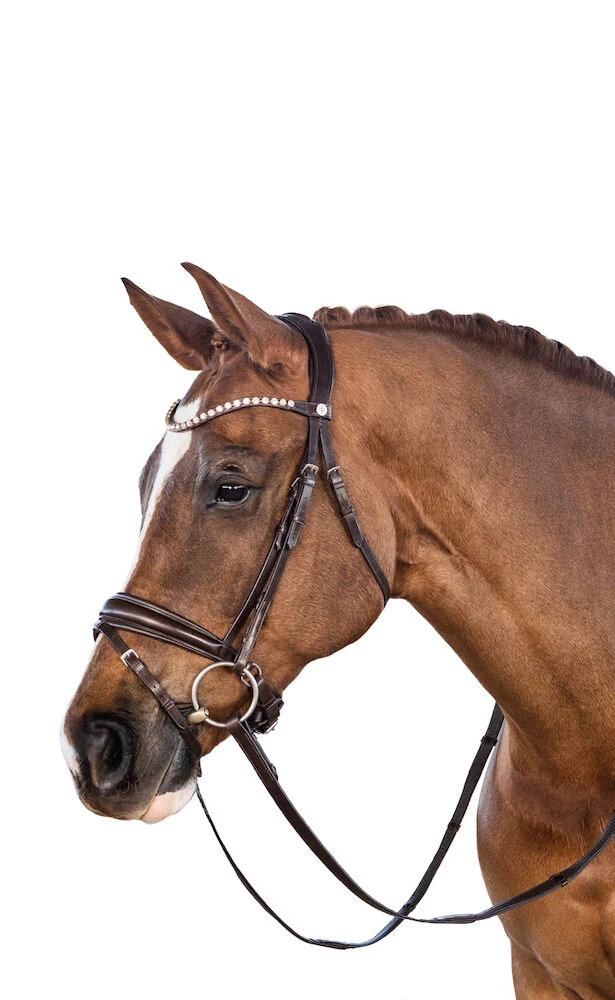 LARA TWEEDIE Essential Snaffle Bridle With Flash