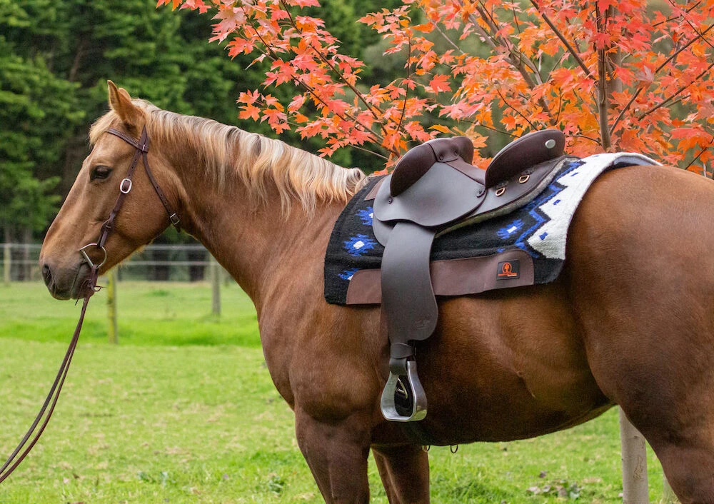 JOSEPH JOHN Jj Leather Half Breed Saddle