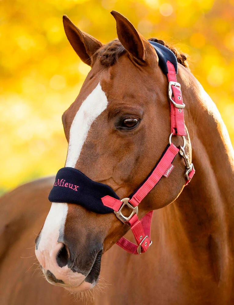 LEMIEUX Vogue Headcollar And Leadrope