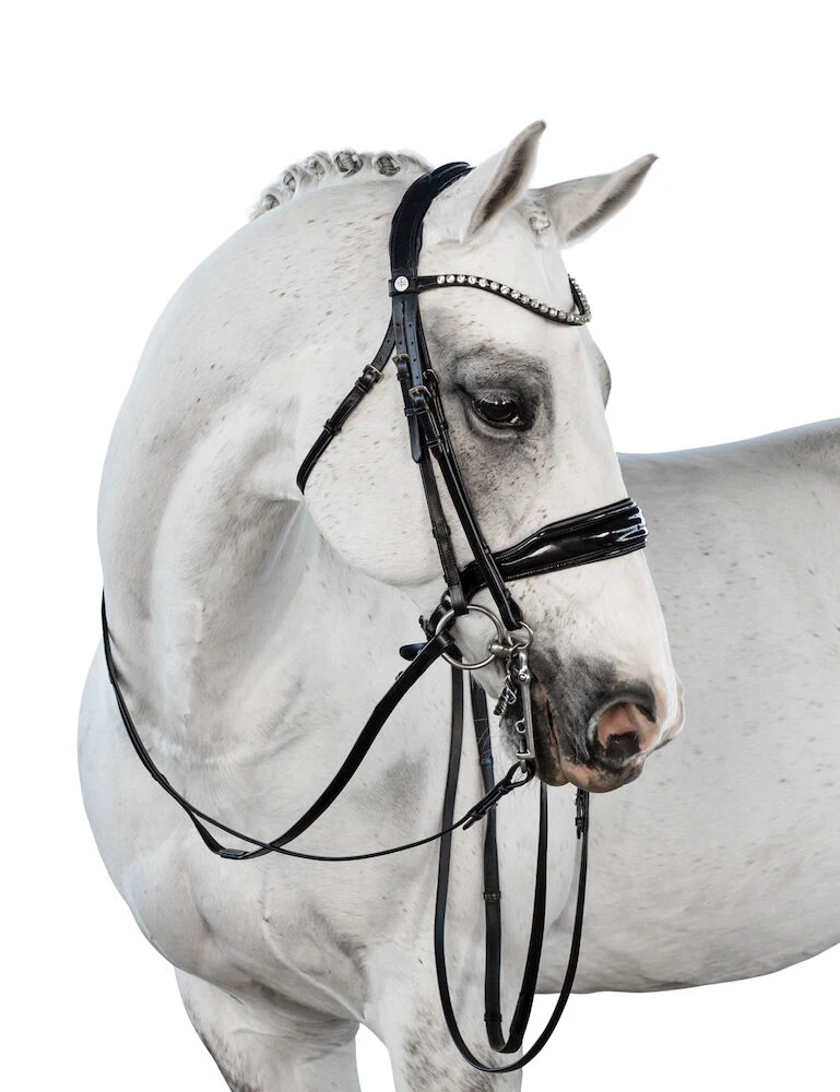 LARA TWEEDIE Glam Double Bridle