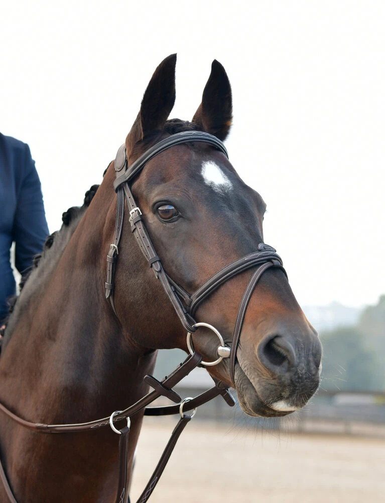 COLLEGIATE ComFiTec Opulux Fancy Stitch Padded Hanoverian Bridle