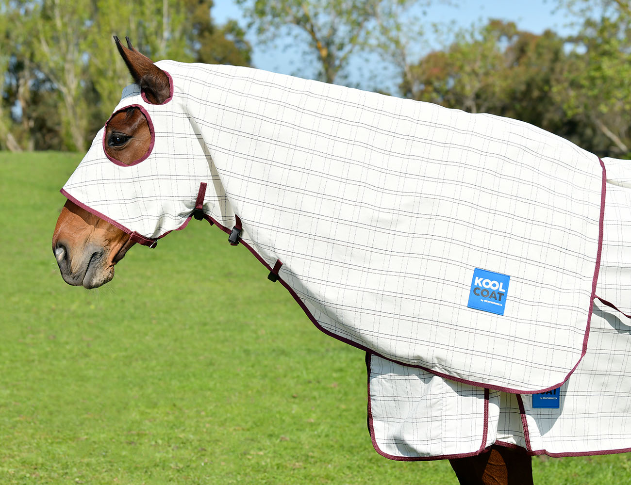 KOOL COAT Cotton Hood