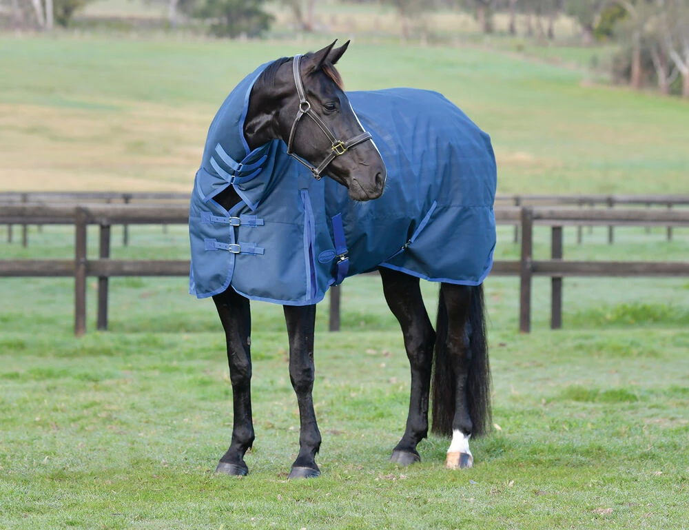 WEATHERBEETA ComFiTec Prelim Combo Neck Medium