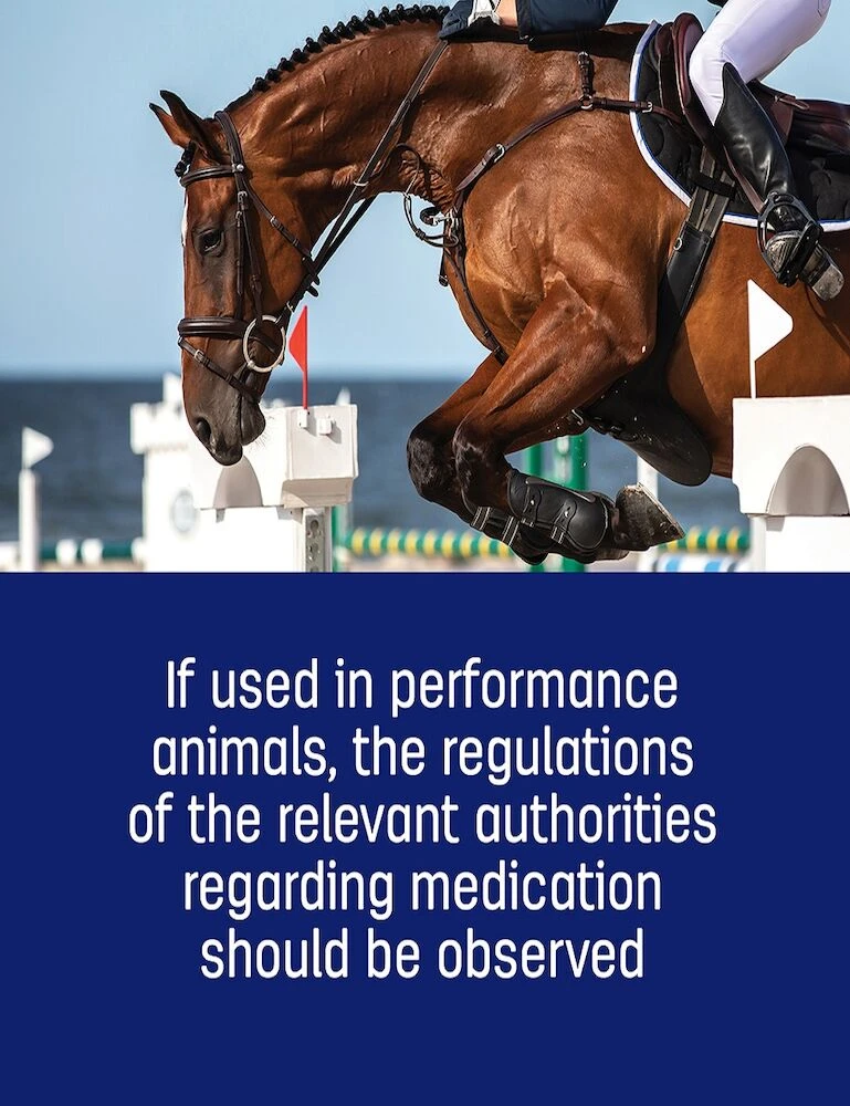 CEVA Green Amino Powder