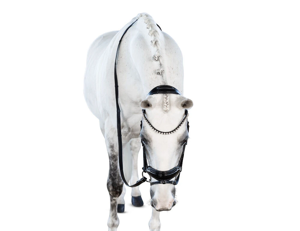 LARA TWEEDIE Glam Snaffle Bridle With Flash