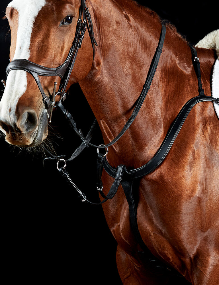 COLLEGIATE ComFiTec 3 Point Breastplate