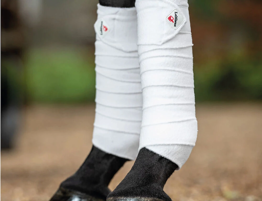 LEMIEUX Lemieux Classic Polo Bandages Set Of 4