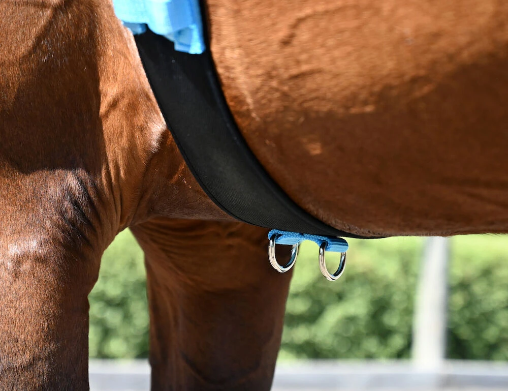 KINCADE Brights Deluxe Equigrip Lunge Roller